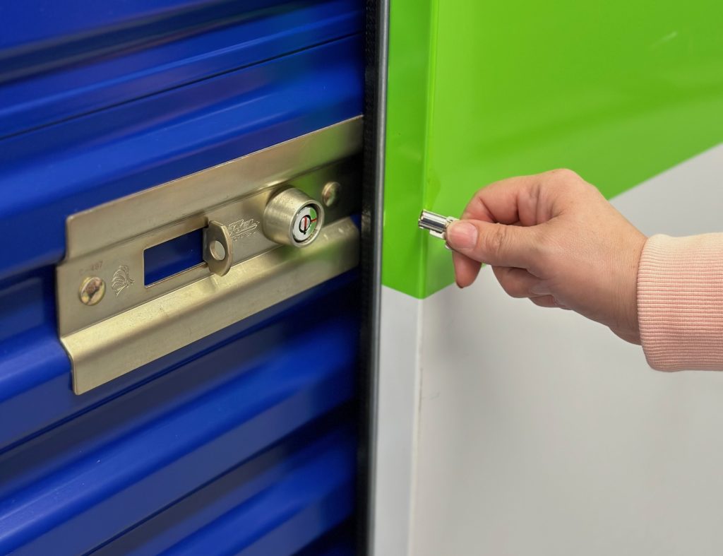 Sanderijn Sanderien Storage Story